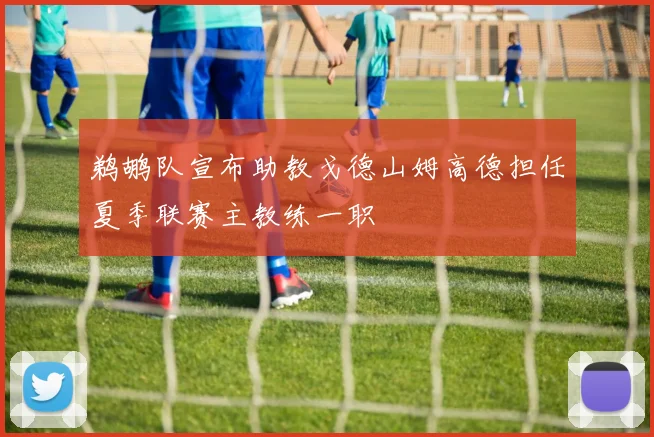 鹈鹕队宣布助教戈德山姆高德担任夏季联赛主教练一职