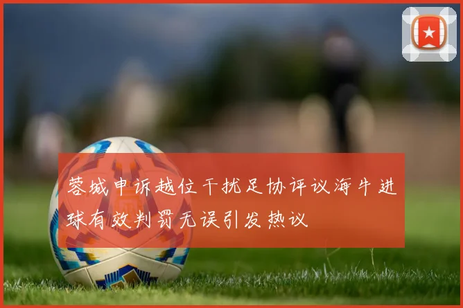 蓉城申诉越位干扰足协评议海牛进球有效判罚无误引发热议