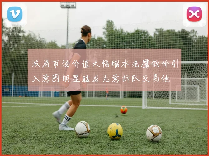 浓眉市场价值大幅缩水老鹰低价引入意图明显猛龙无意拆队交易他